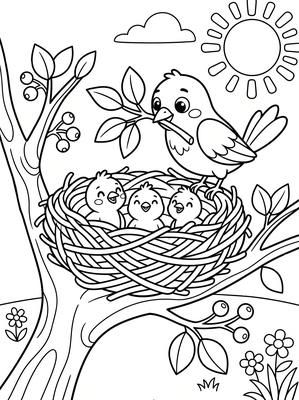 Black and white coloring page: Nest Builder