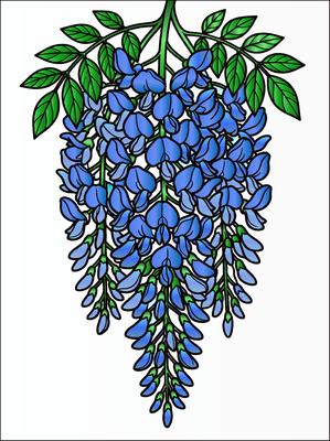 Colored preview: Wisteria Trellis