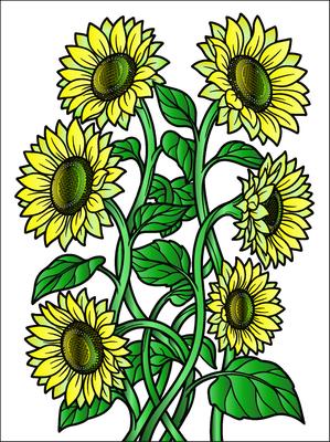 Colored preview: Sunflower Swirl