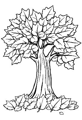 Black and white sample: Maple Tree
