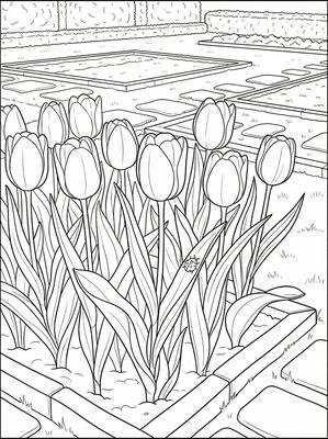 Black and white sample: Tulip