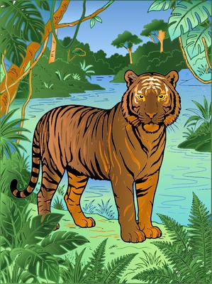 Colored preview: Jungle Tiger