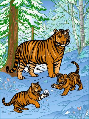 Colored preview: Siberian Tiger