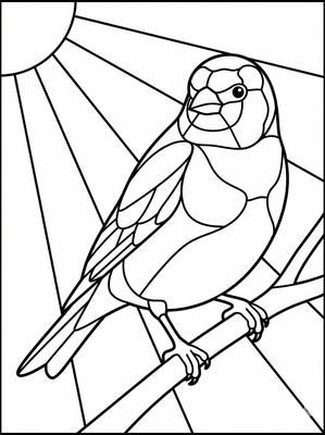 Black and white coloring page: Golden Sunbird