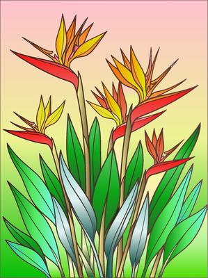 Colored preview: Bird Paradise
