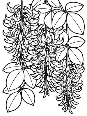 Black and white sample: Jade Vine