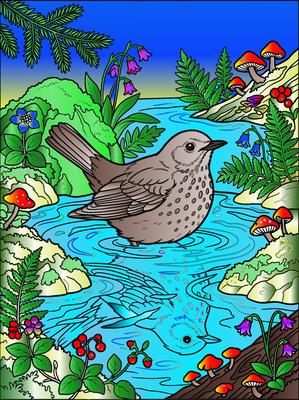 Colored preview: Hermit Thrush