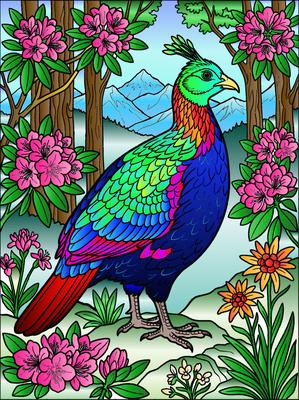 Colored preview: Himalayan Monal