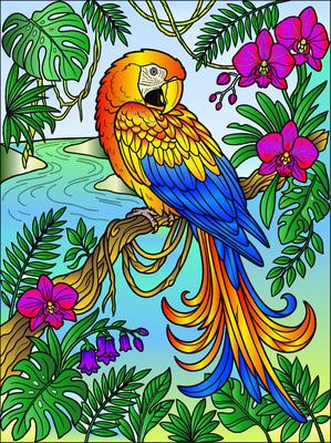Colored preview: Scarlet Macaw