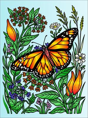 Colored preview: Monarch