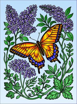 Colored preview: Red Admiral