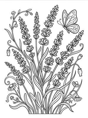 Black and white coloring page: Lavender Dreams