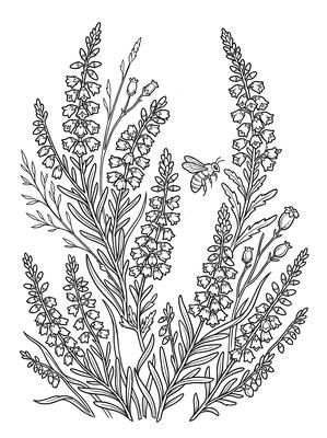 Black and white coloring page: Heather Hills